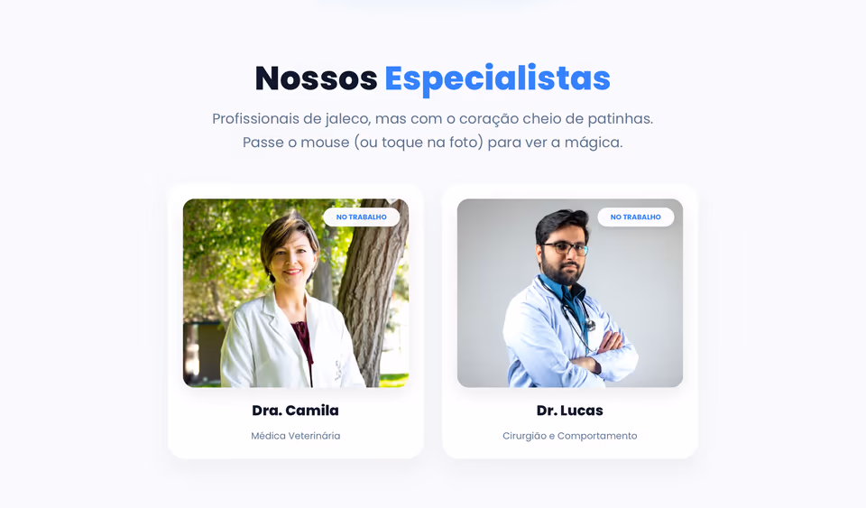Ficha do animal com histórico de serviços e informações de bem-estar